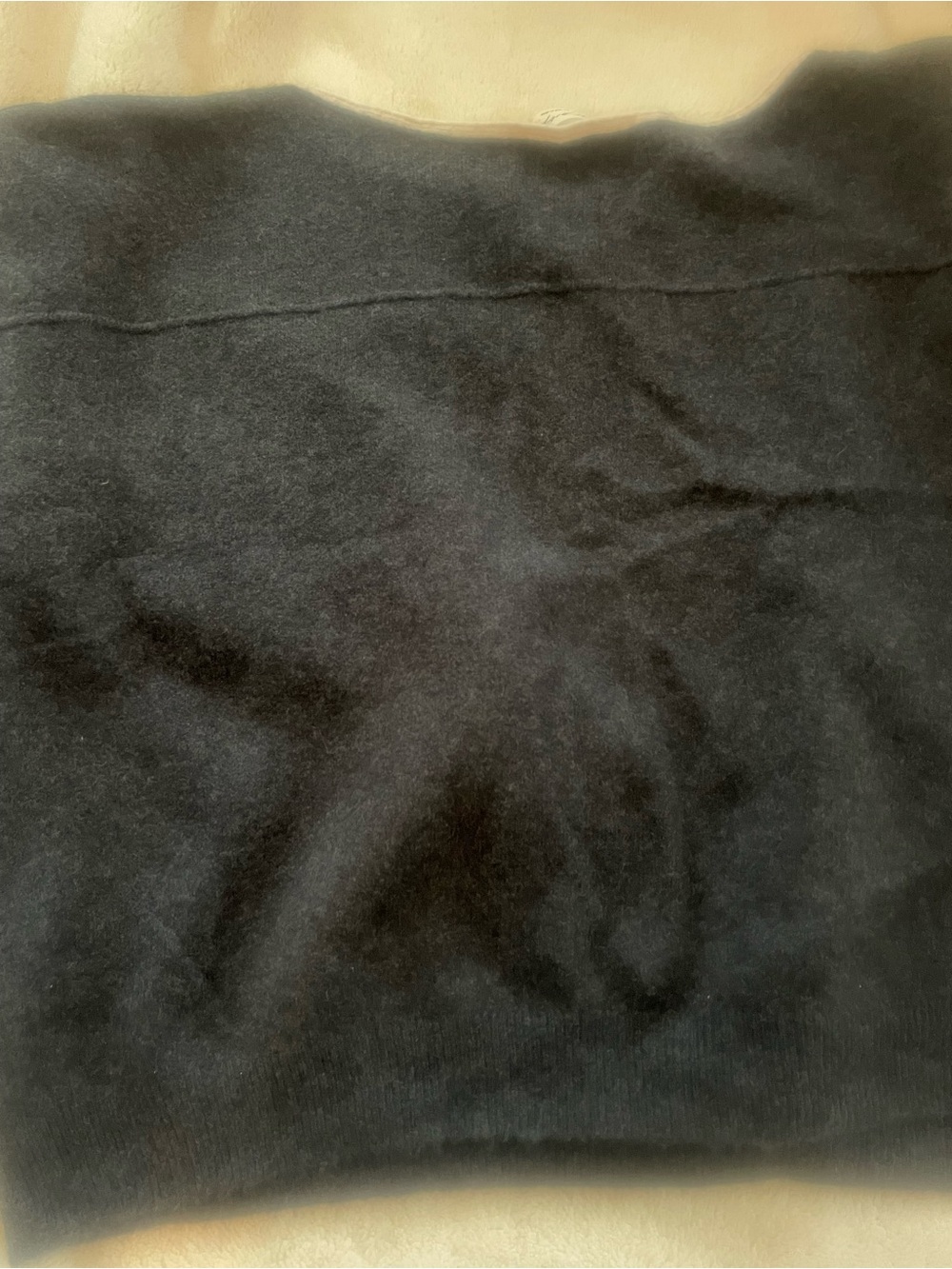 Free People Charcoal Gray Crewneck Sweater with Cream Trim - Picture 5 of 5